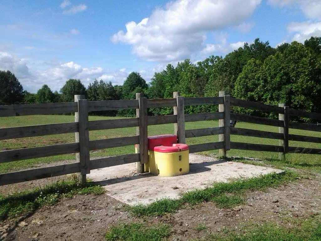 Two Hole Automatic Waterer