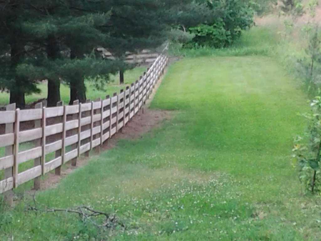 Unstained Board Fence